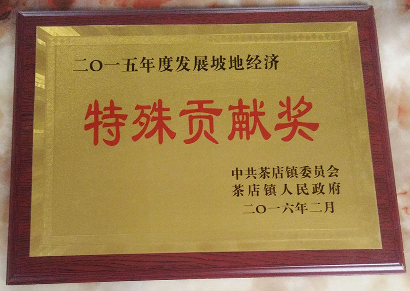 1-1P60Q5535c44.jpg